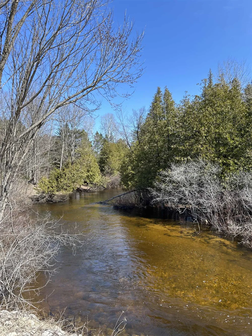 Meadow Lane Colfax Township, MI 49683