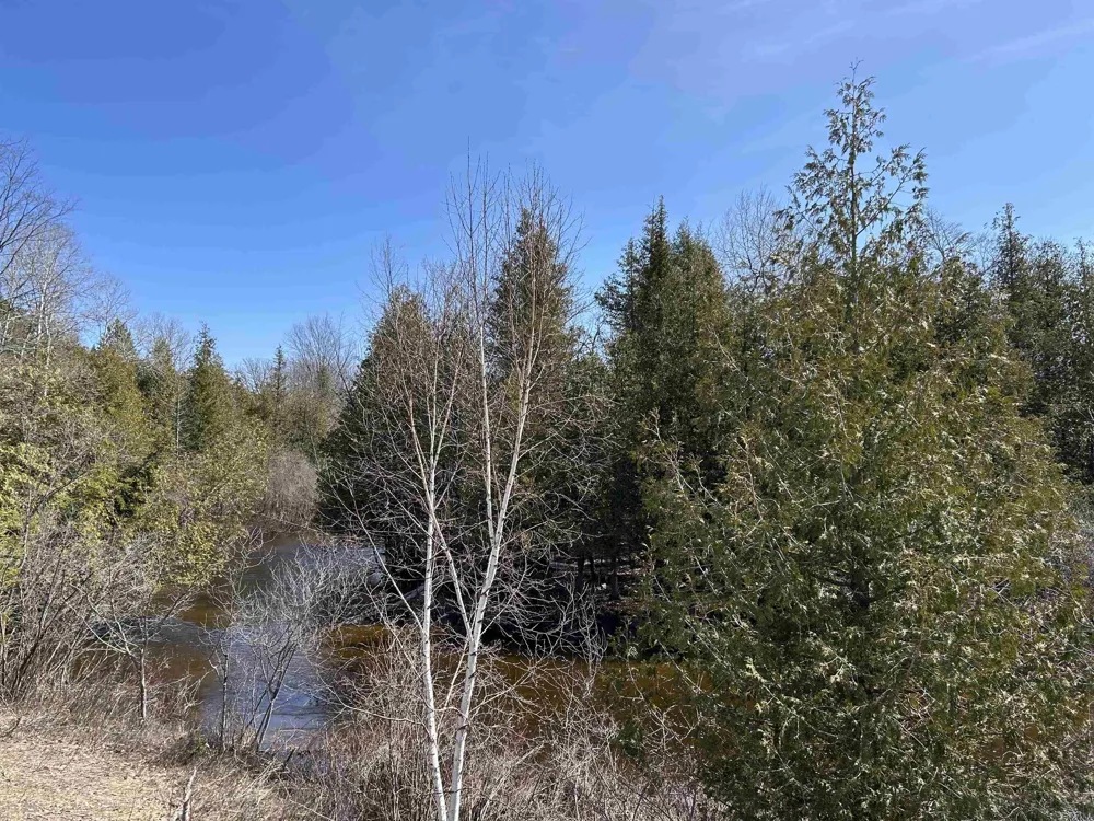 Meadow Lane Colfax Township, MI 49683