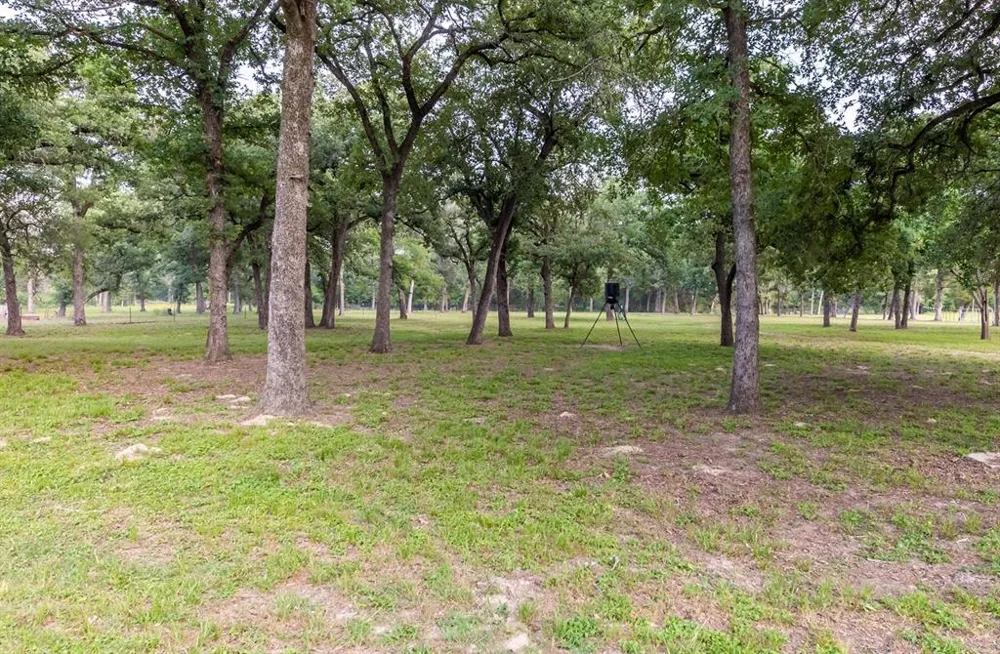 7338 FM 1624 Lexington, TX 78947