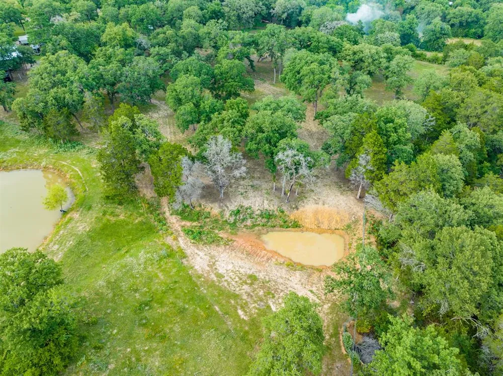 7338 FM 1624 Lexington, TX 78947