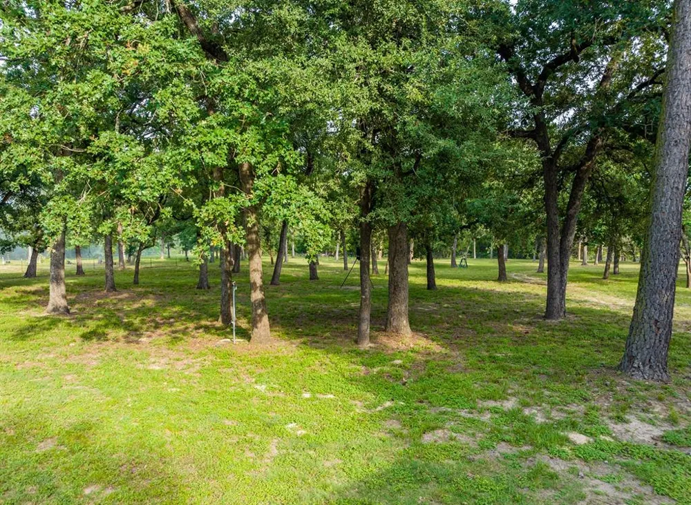 7338 FM 1624 Lexington, TX 78947