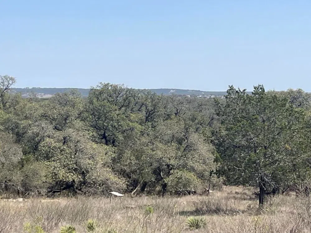 18 South Cove Spicewood, TX 78669