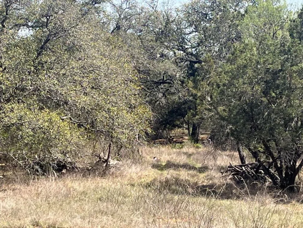 18 South Cove Spicewood, TX 78669