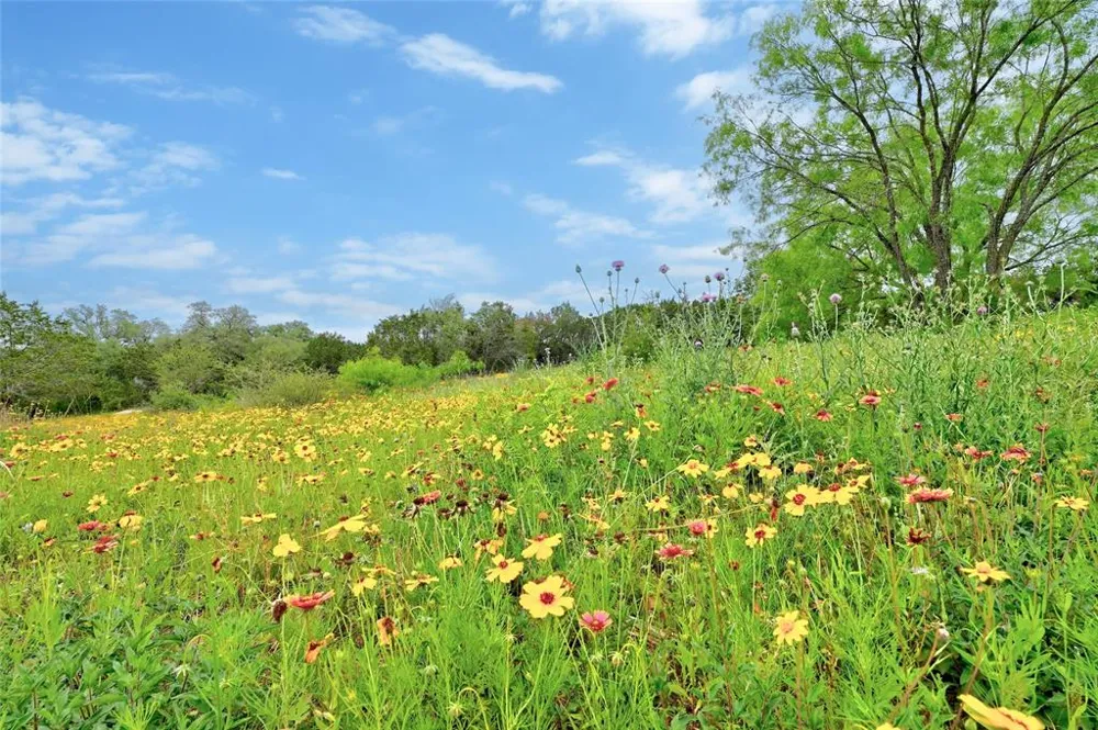 18 South Cove Spicewood, TX 78669