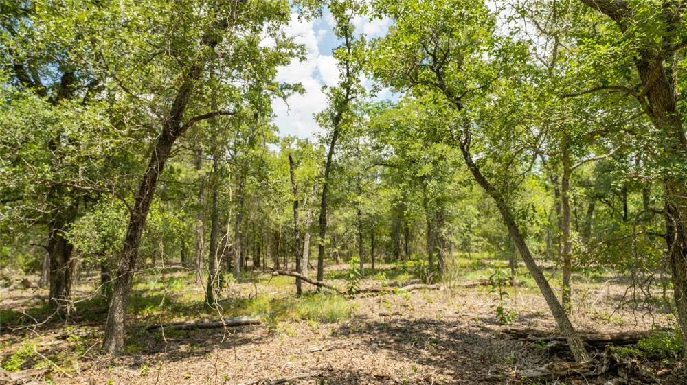 418 County Road 405 Buckholts, TX 76518