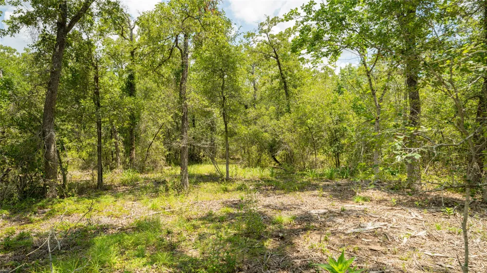 418 County Road 405 Buckholts, TX 76518