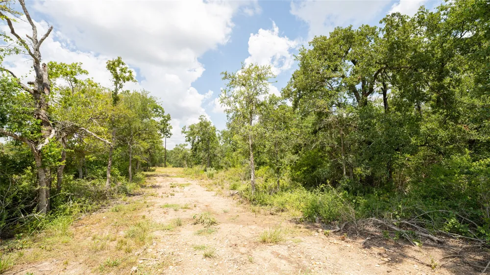 418 County Road 405 Buckholts, TX 76518
