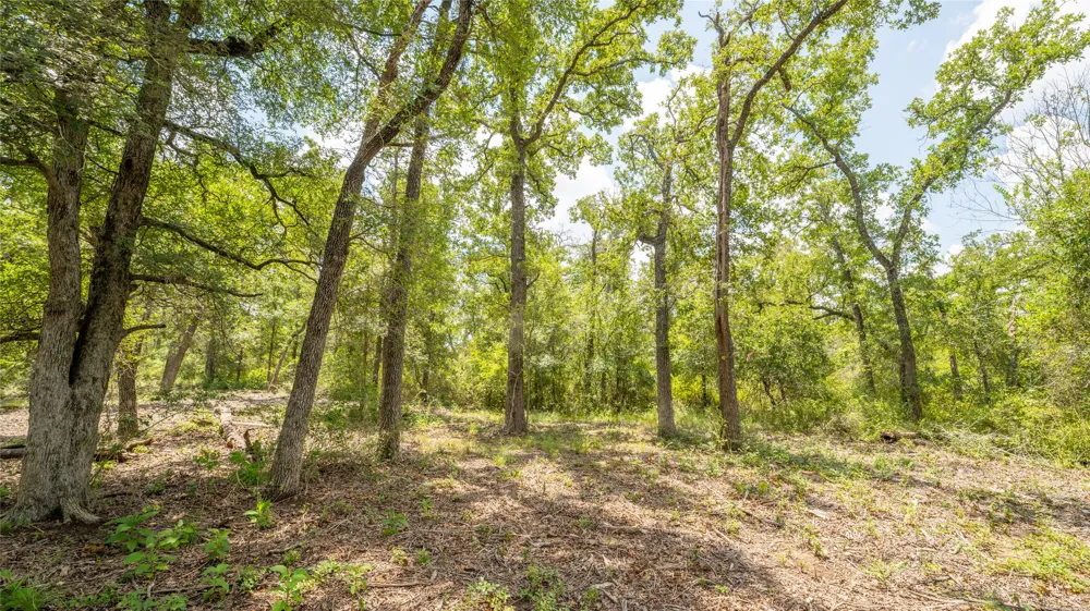 418 County Road 405 Buckholts, TX 76518