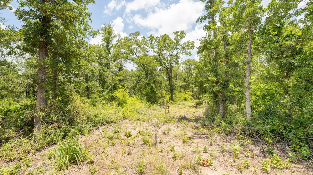 418 County Road 405 Buckholts, TX 76518