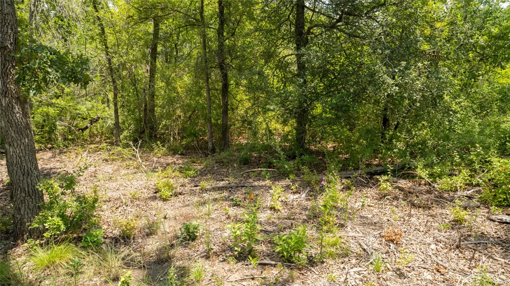 418 County Road 405 Buckholts, TX 76518