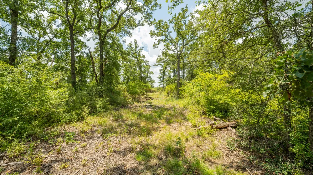 418 County Road 405 Buckholts, TX 76518