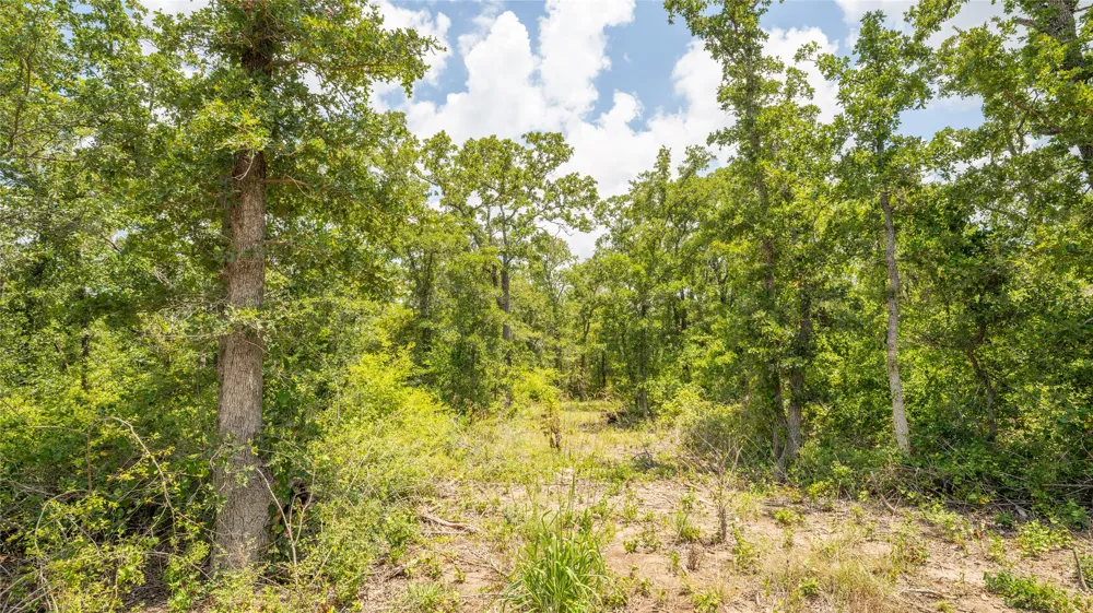 418 County Road 405 Buckholts, TX 76518