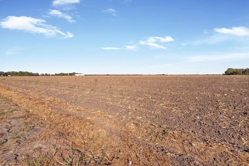 2 Scroggins Road Wallis, TX 77485