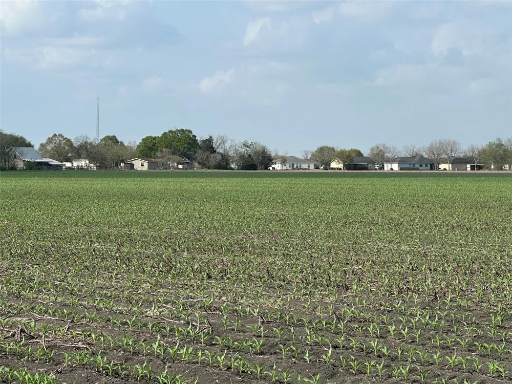 2 Scroggins Road Wallis, TX 77485