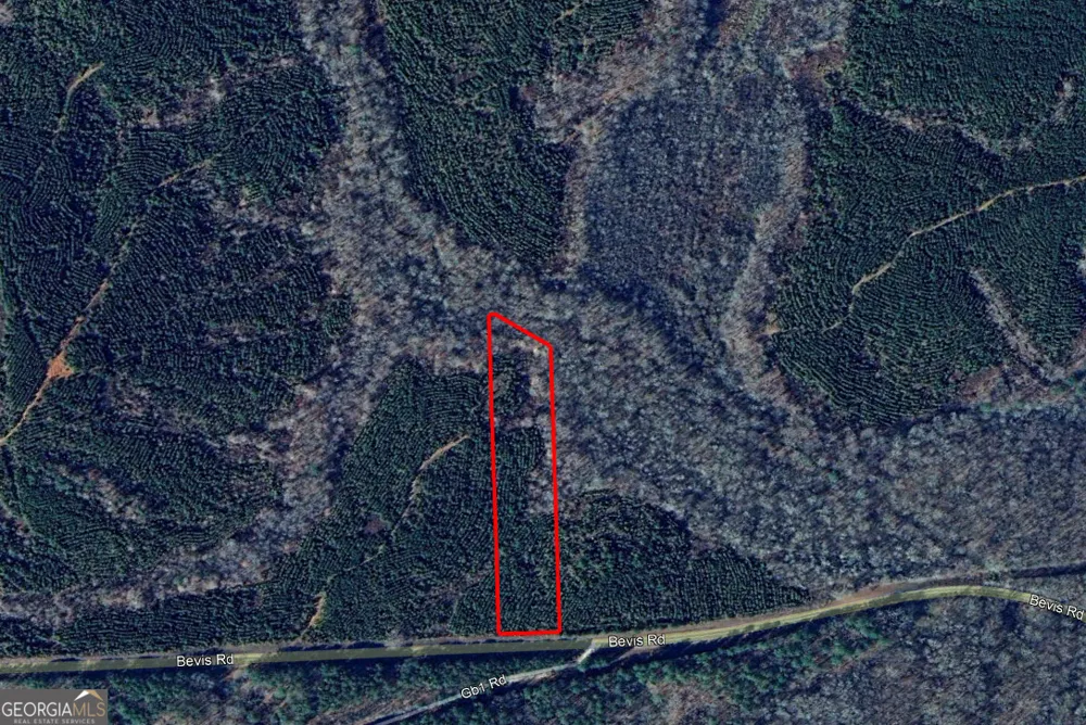 0 Bevis Rd Parcel 4 Franklin, GA 30217