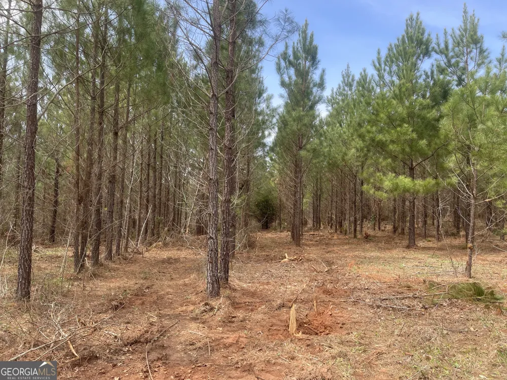0 Bevis Rd Parcel 4 Franklin, GA 30217
