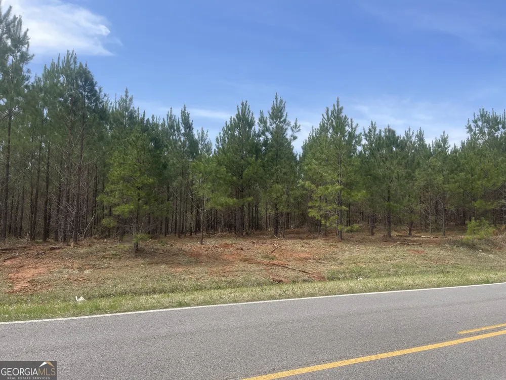 0 Bevis Rd Parcel 4 Franklin, GA 30217