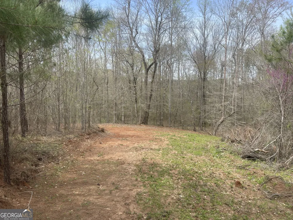 0 Bevis Rd Parcel 4 Franklin, GA 30217