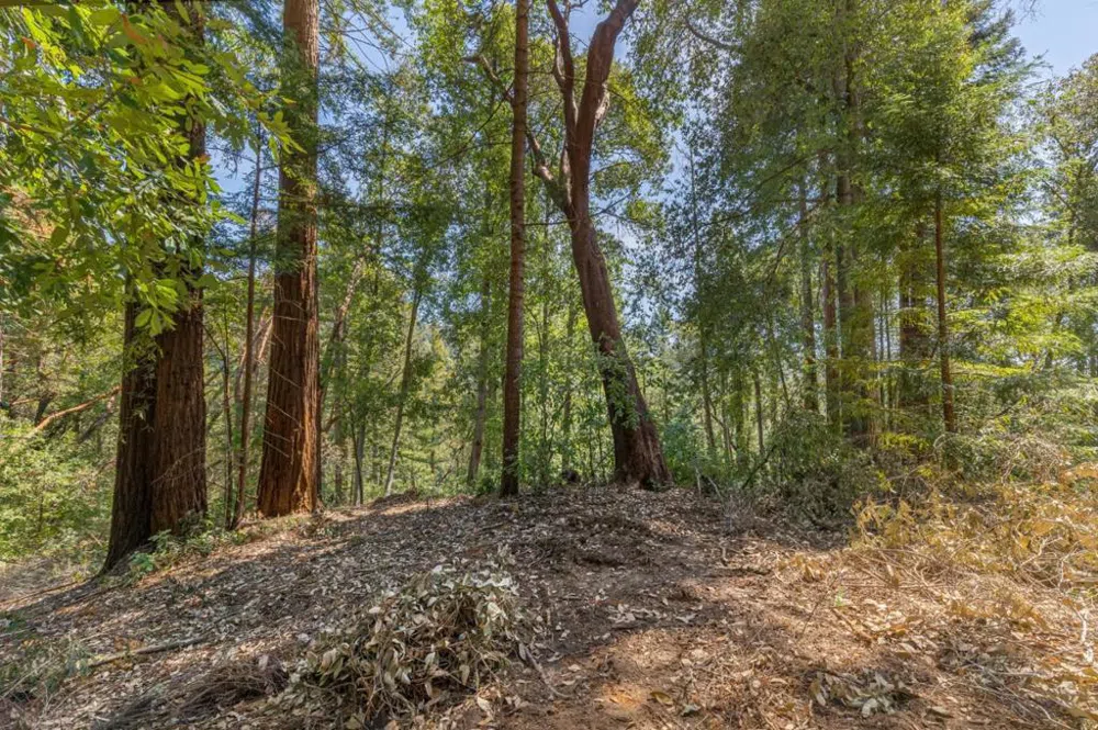 333 Western Avenue Brookdale, CA 95007