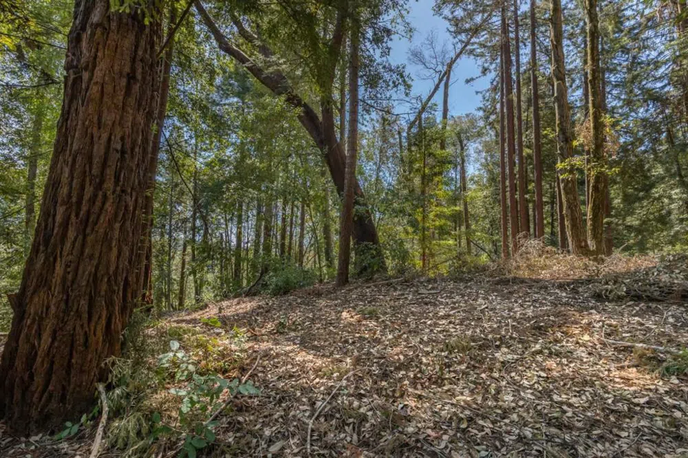 333 Western Avenue Brookdale, CA 95007