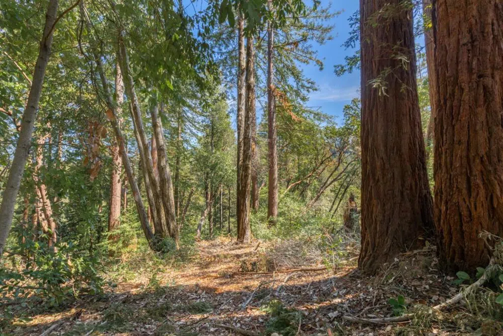 333 Western Avenue Brookdale, CA 95007