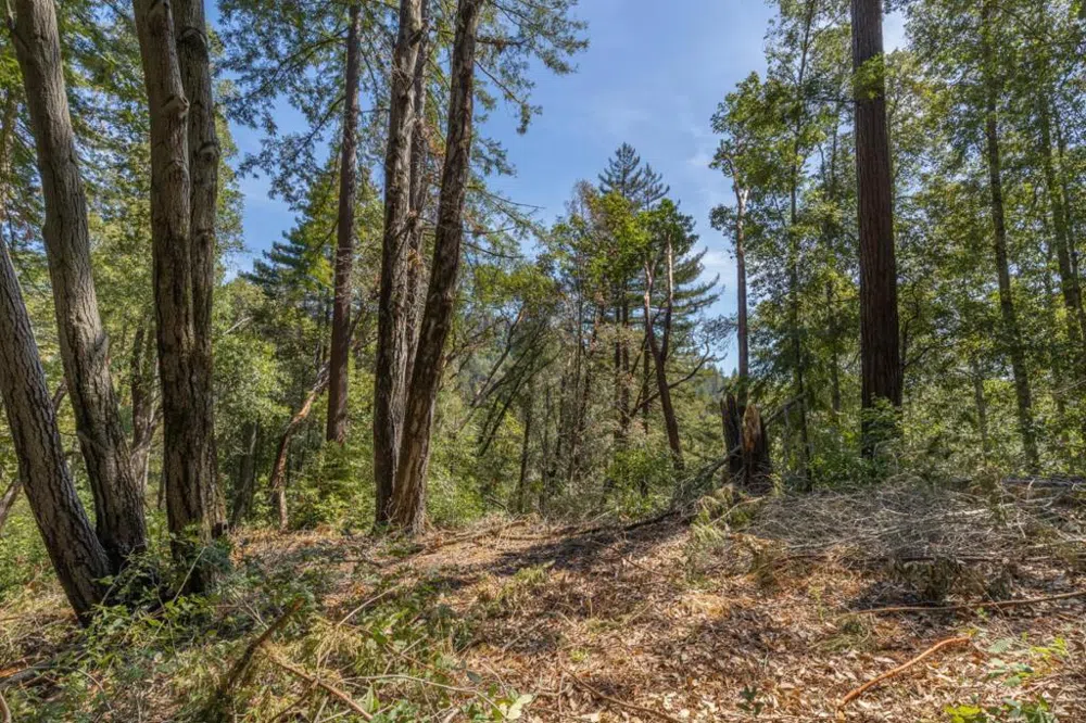 333 Western Avenue Brookdale, CA 95007