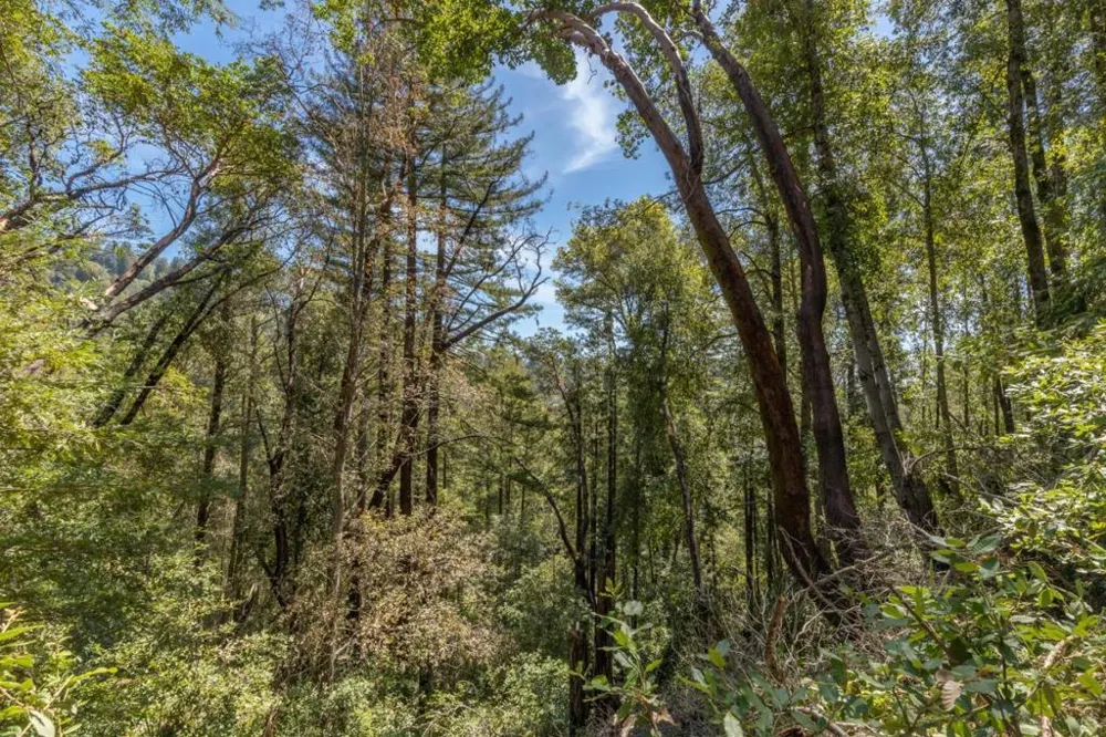 333 Western Avenue Brookdale, CA 95007