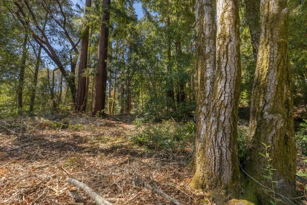 333 Western Avenue Brookdale, CA 95007