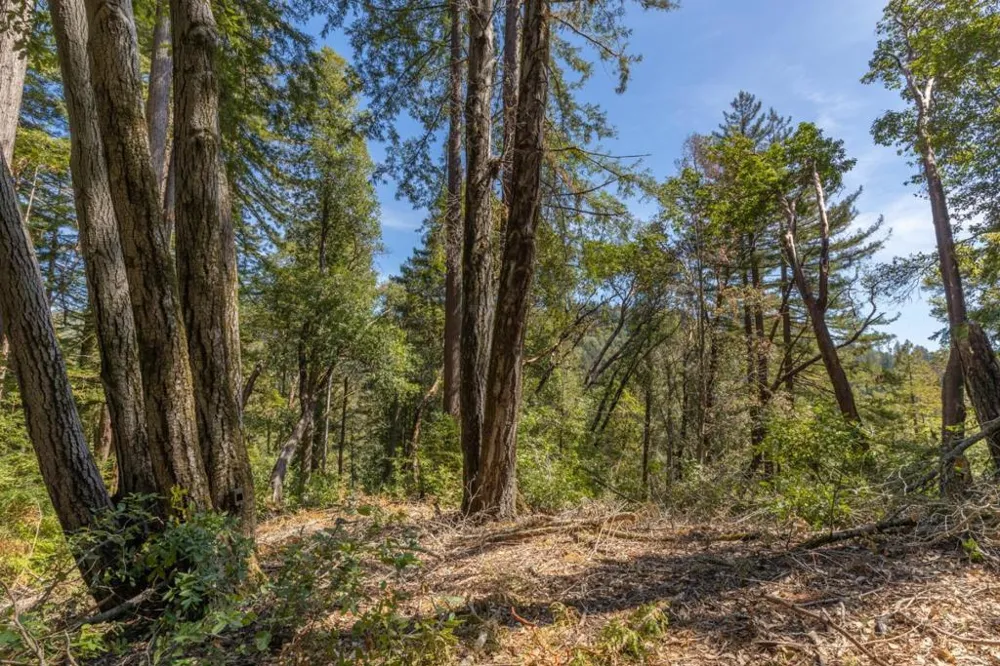 333 Western Avenue Brookdale, CA 95007