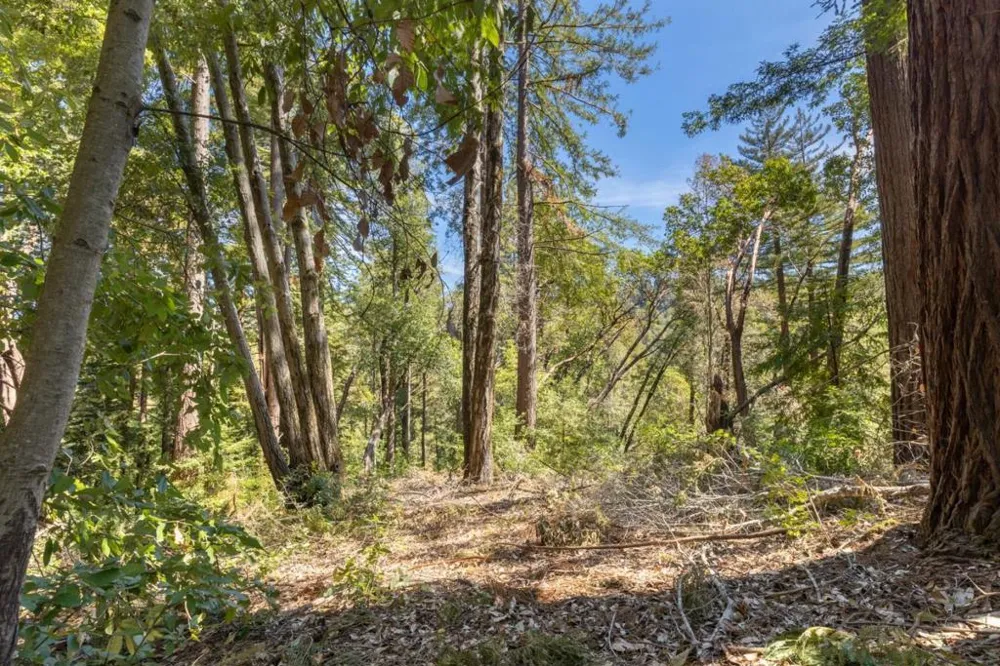 333 Western Avenue Brookdale, CA 95007
