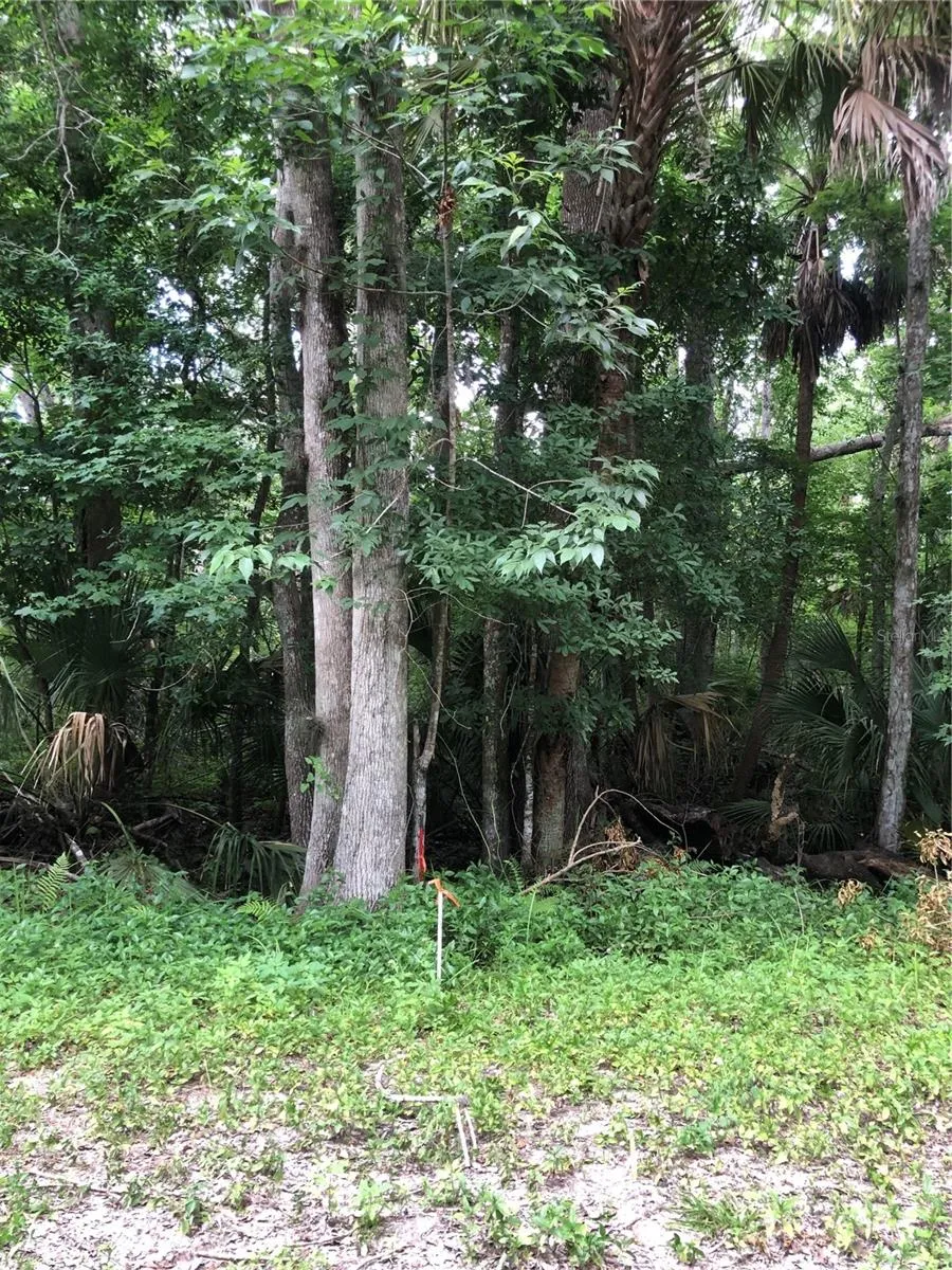 KEEFER TRAIL Kissimmee, FL 34747