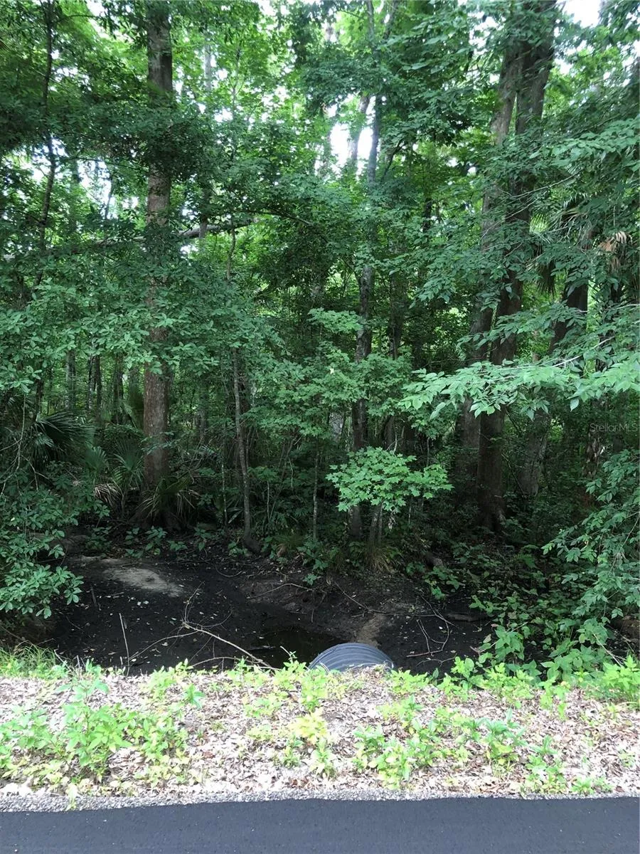KEEFER TRAIL Kissimmee, FL 34747