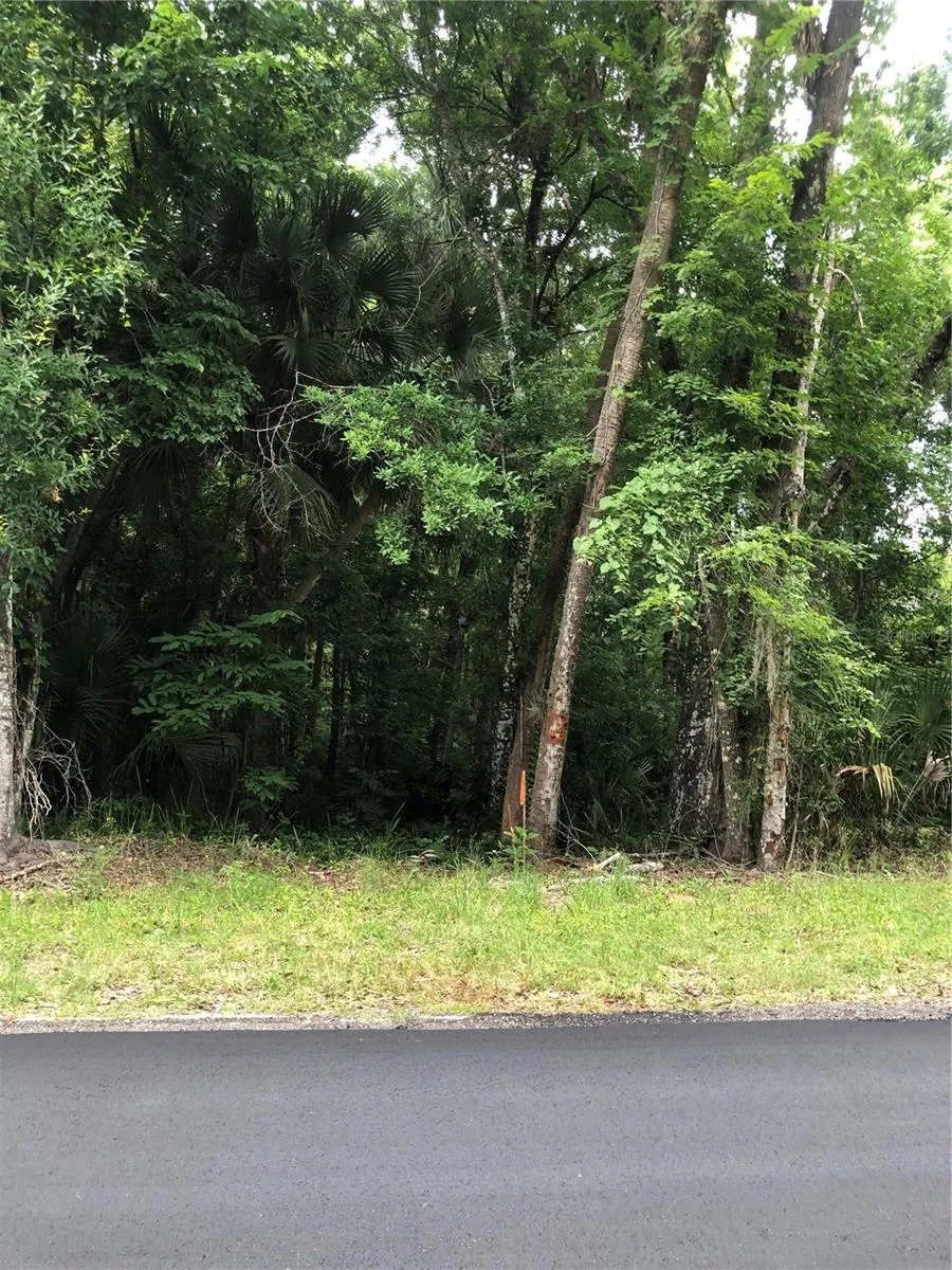 KEEFER TRAIL Kissimmee, FL 34747