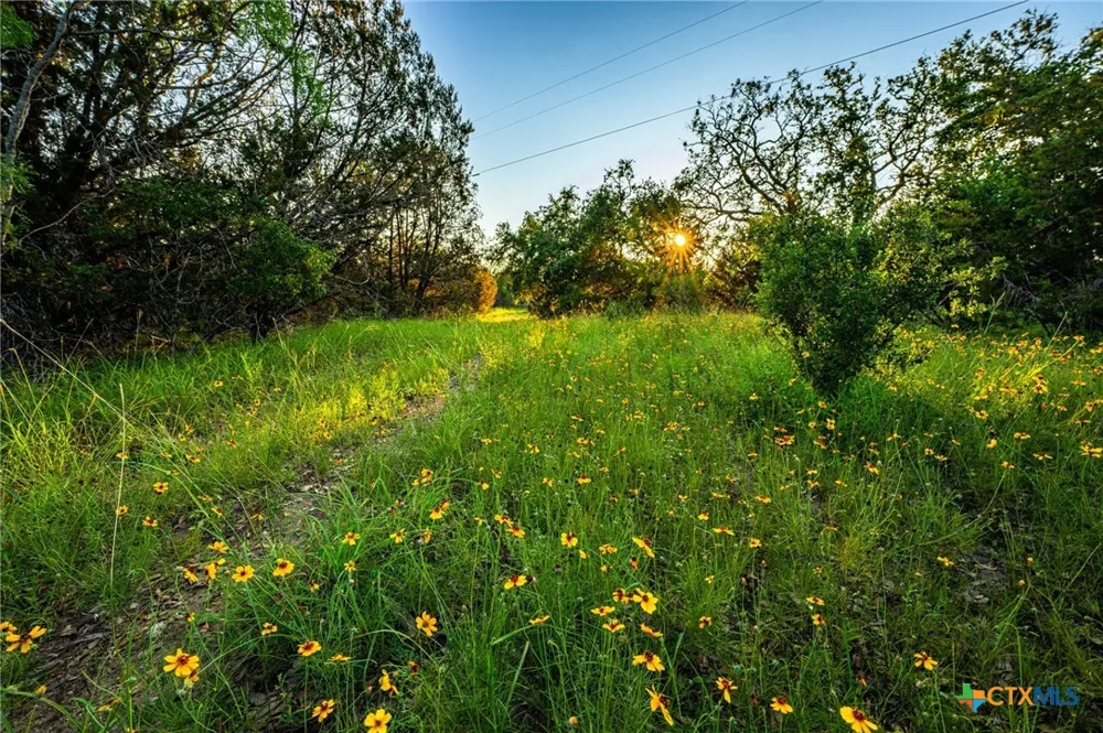 9738 E Fm1431 Marble Falls, TX 78654