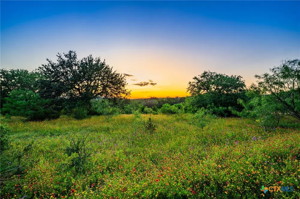 9738 E Fm1431 Marble Falls, TX 78654