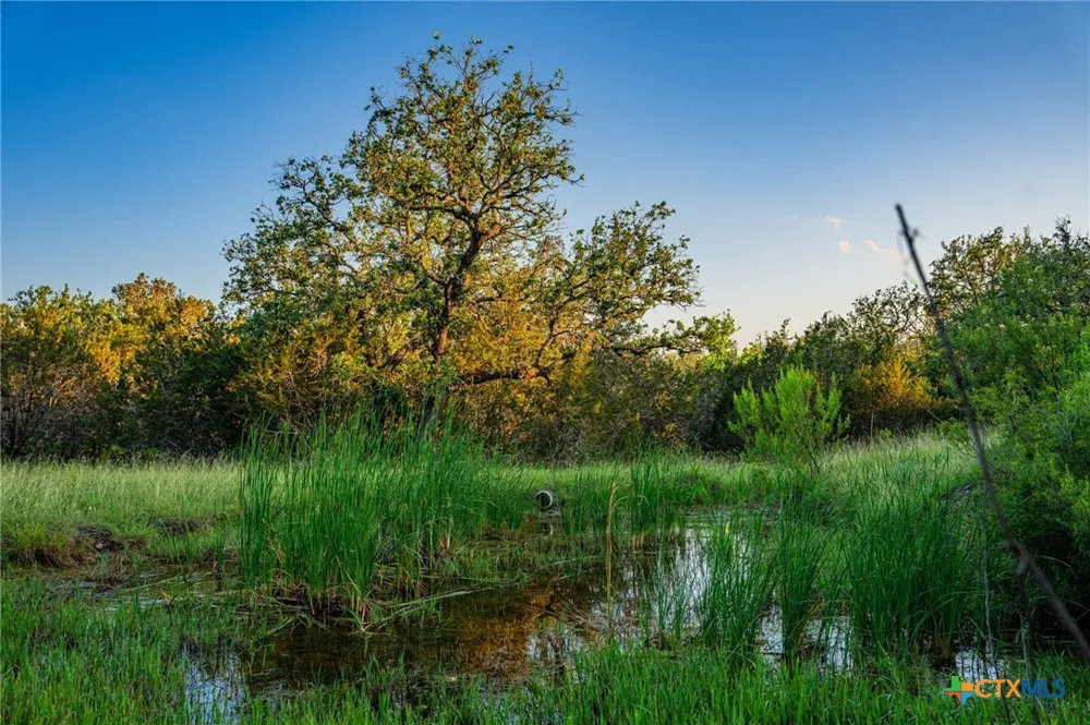 9738 E Fm1431 Marble Falls, TX 78654