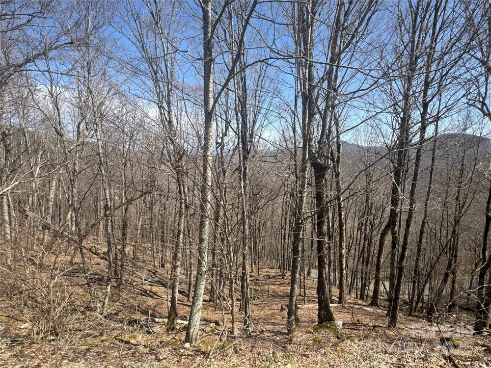 14 & 16 Overlook Drive Mars Hill, NC 28754