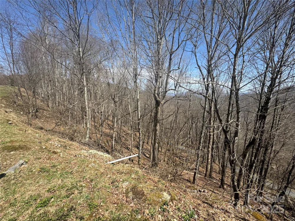 14 & 16 Overlook Drive Mars Hill, NC 28754