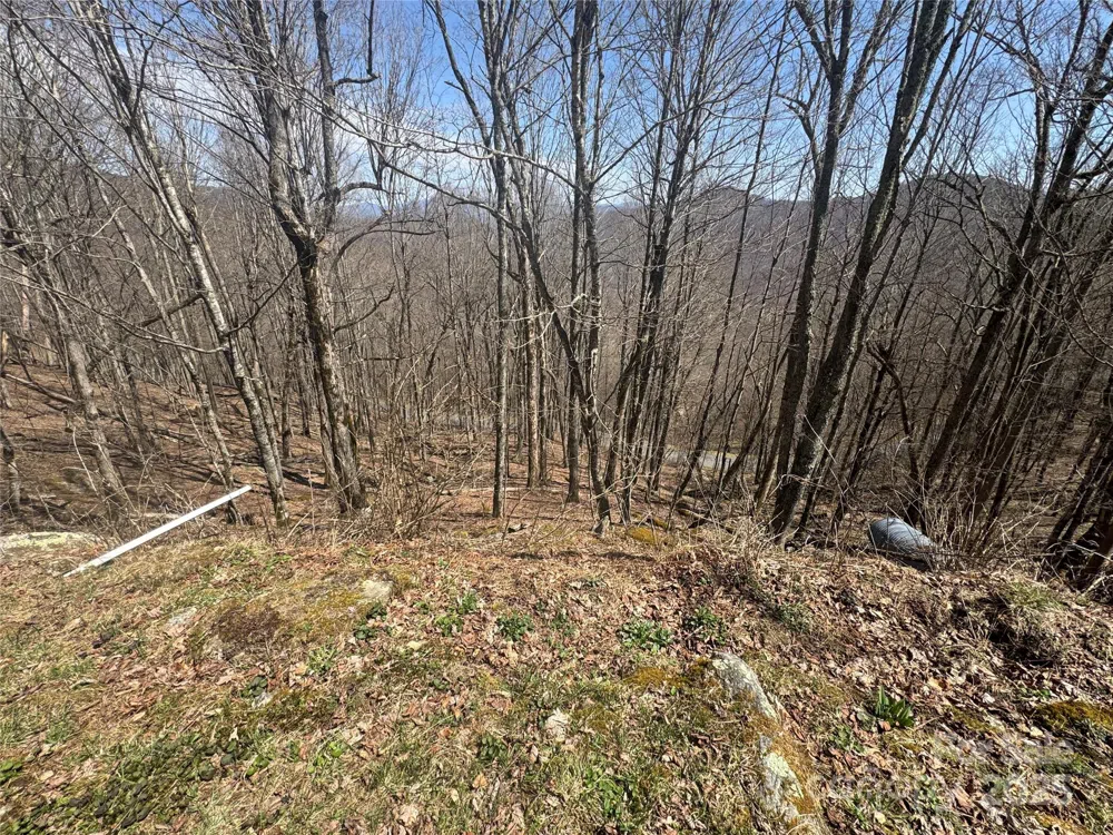 14 & 16 Overlook Drive Mars Hill, NC 28754
