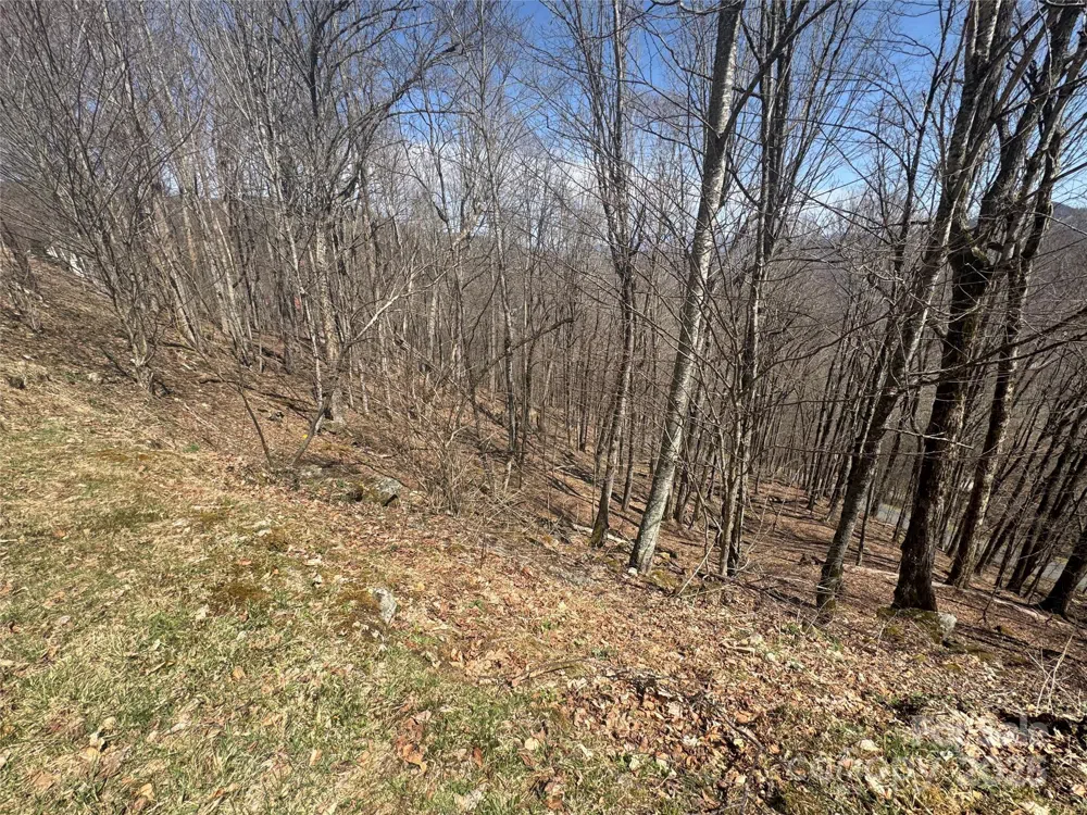 14 & 16 Overlook Drive Mars Hill, NC 28754