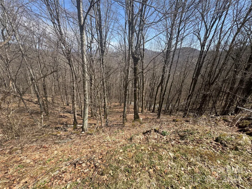 14 & 16 Overlook Drive Mars Hill, NC 28754
