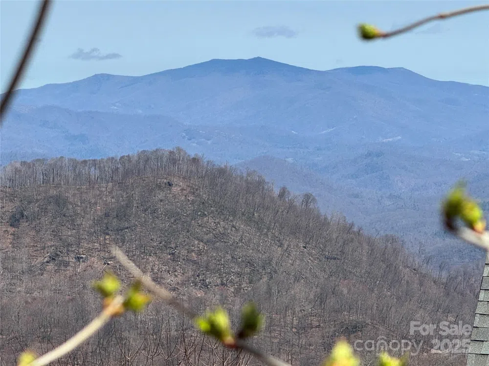 14 & 16 Overlook Drive Mars Hill, NC 28754