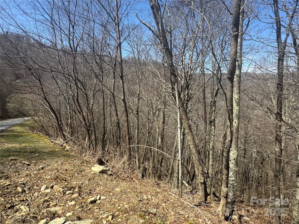 53 & 55 Running Cedar Drive Mars Hill, NC 28754