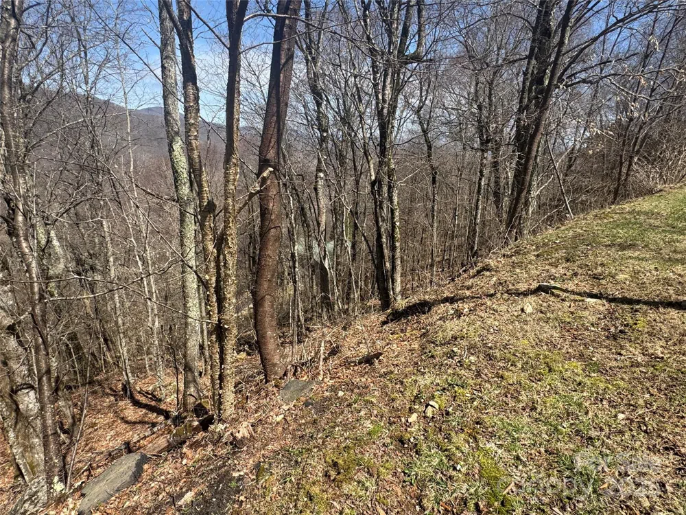 53 & 55 Running Cedar Drive Mars Hill, NC 28754