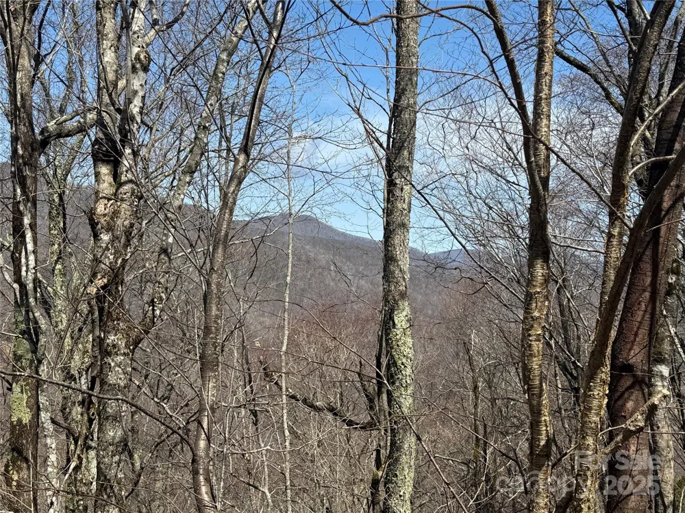 53 & 55 Running Cedar Drive Mars Hill, NC 28754