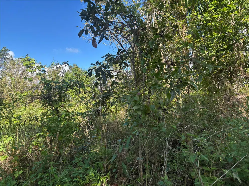 857 KM 5.2 Carolina, PR 00987