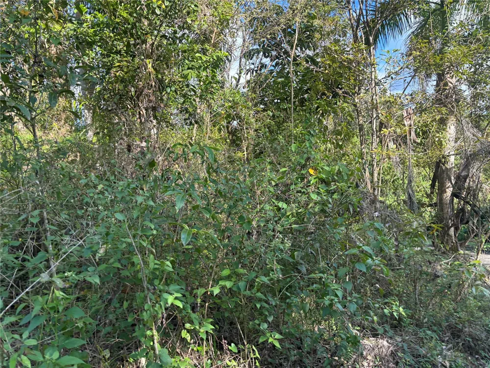 857 KM 5.2 Carolina, PR 00987