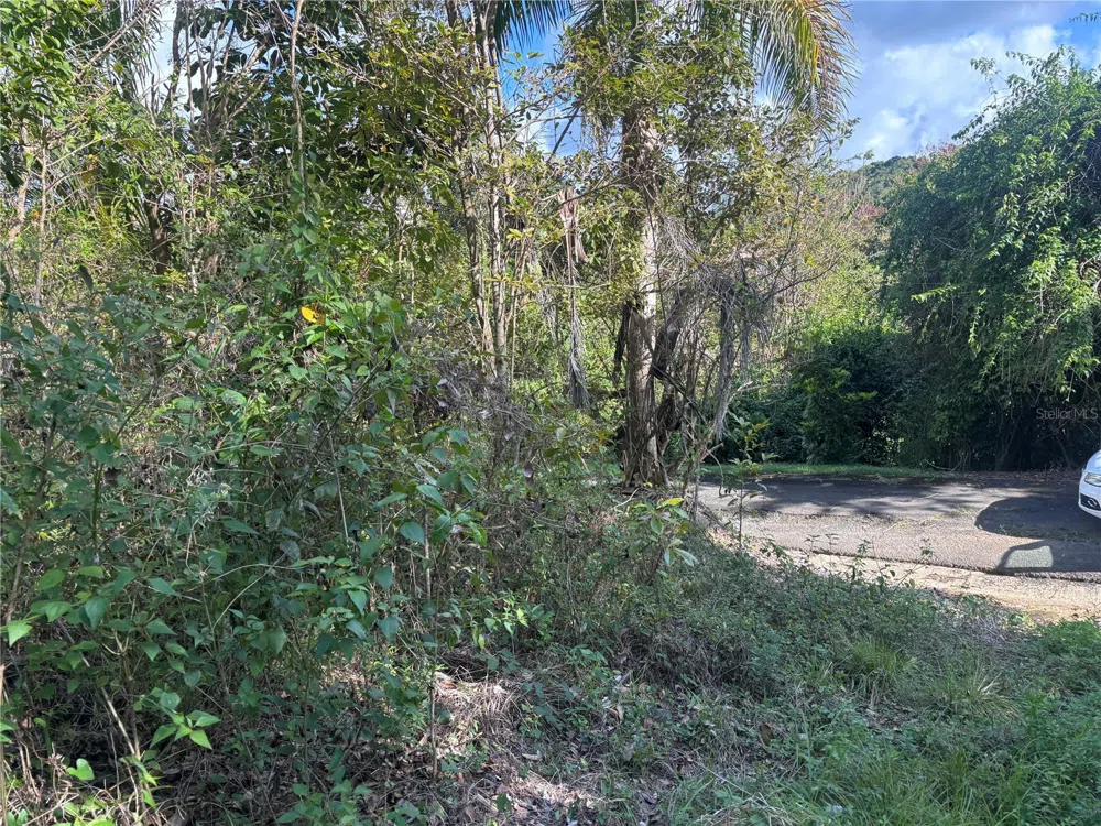 857 KM 5.2 Carolina, PR 00987
