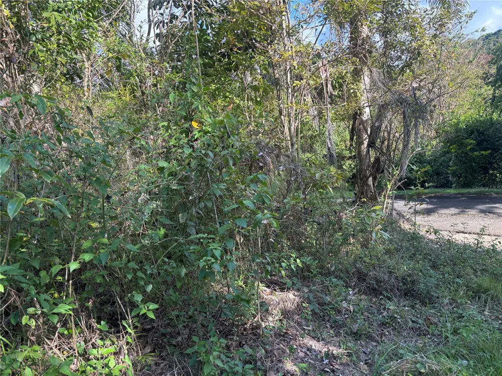 857 KM 5.2 Carolina, PR 00987