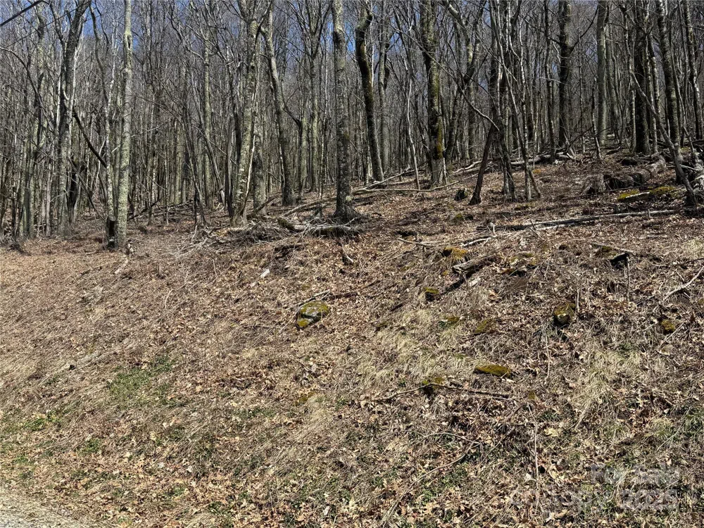 244 & 245 Grouse Thicket Lane Mars Hill, NC 28754